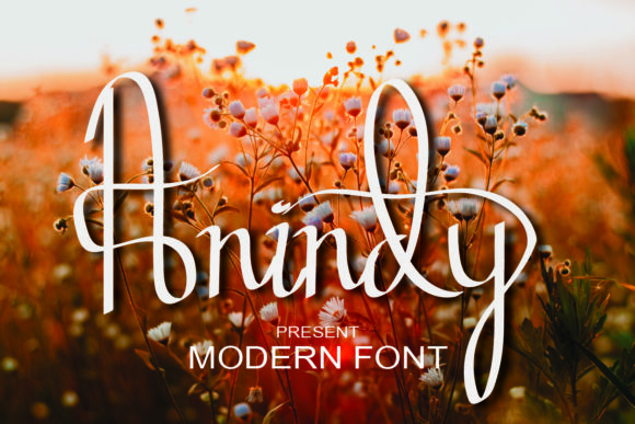 Anindy Font Review: Elevating Campaign Visuals with Style