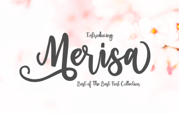 Merisa: A Designer’s Honest Review