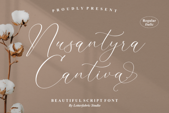 Nusantyra Cantiva Font Review for Web Designers