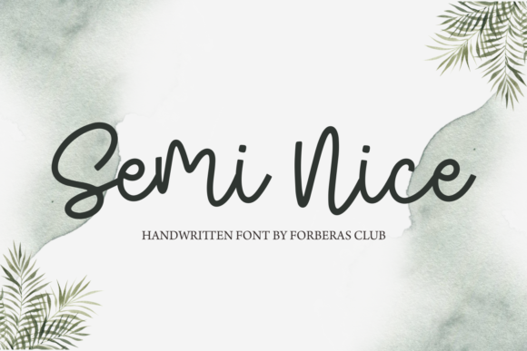Semi Nice: A Designer’s Honest Review for Branding