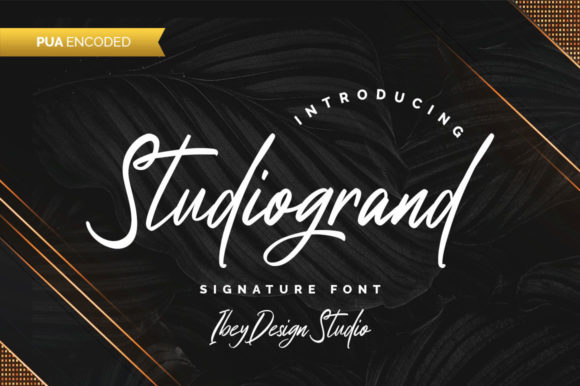 Studiogrand Font: Elevate Your Brand Identity
